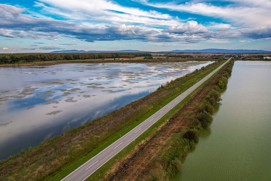 Mokrade a rybníky, habitat vodného vtáctva na Slovensku
