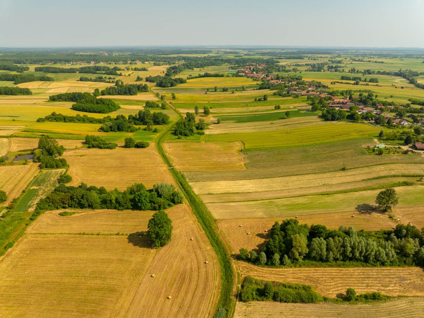 Poľnohospodárska krajina s remízkami, habitat poľnej zveri