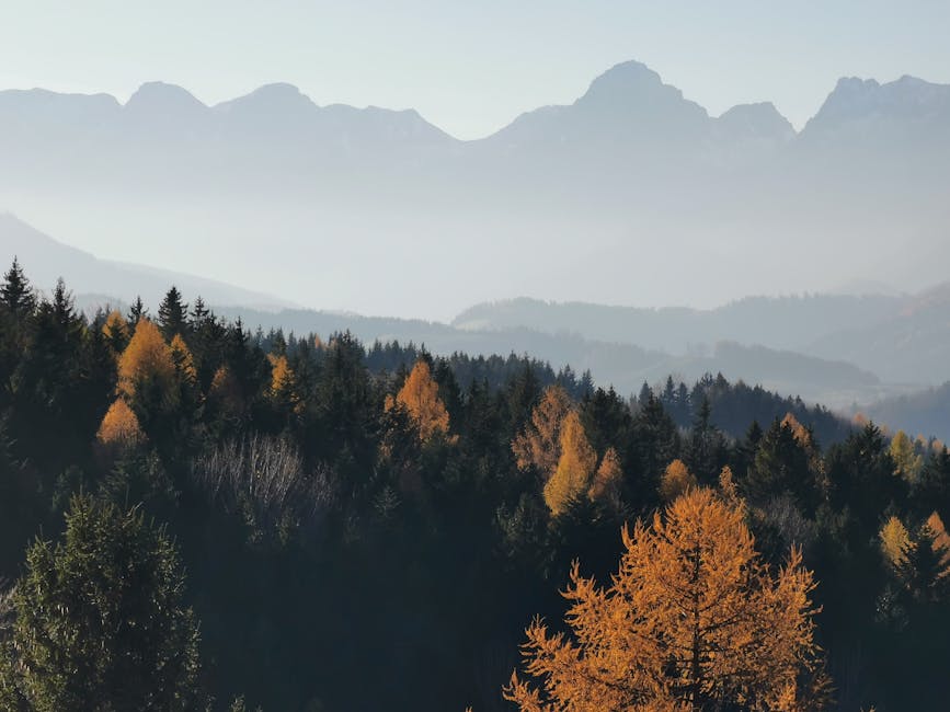 Panoráma slovenskej divočiny, pohľad na lesy a hory